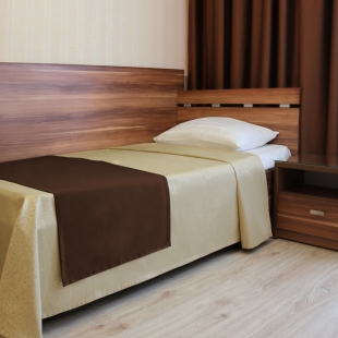 Фотография номера гостиницы Парк-отель Пушкин