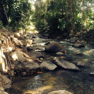 Фотография гостевого дома Kootney Resorts