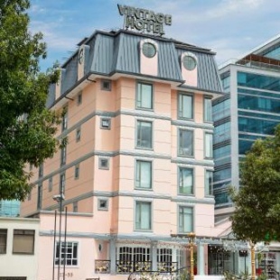 Фотография гостиницы Hotel Vintage