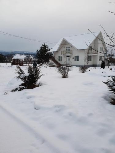 Фотография гостевого дома Casa Moglador