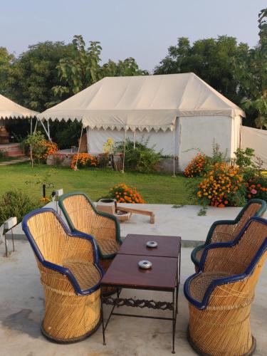 Фотографии базы отдыха
Jungle Book Ranthambore