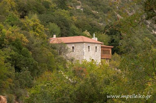 Фотография гостевого дома Mpelleiko