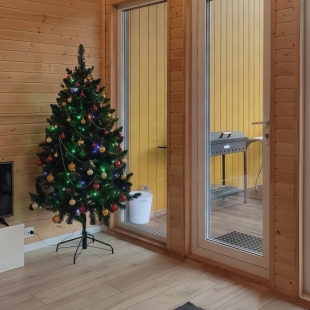 Фотография Коттеджа Частный дом Tanikohome Барково, река Оять