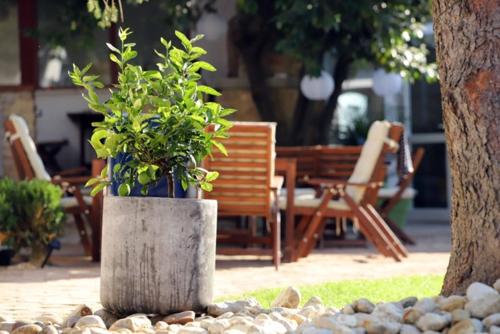 Фотография мини отеля Szent György Kúria