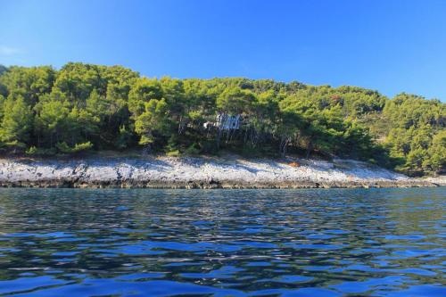 Фотография гостевого дома Secluded fisherman's cottage Cove Spiliska, Korcula - 9142