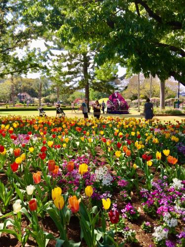 Фотография гостиницы Oaks Toowoomba Hotel