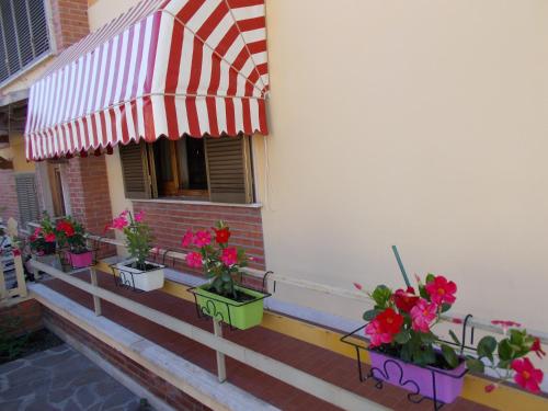 Фотография гостевого дома villino Morena