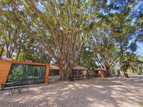 Фотография гостиницы Hotel Los Laureles