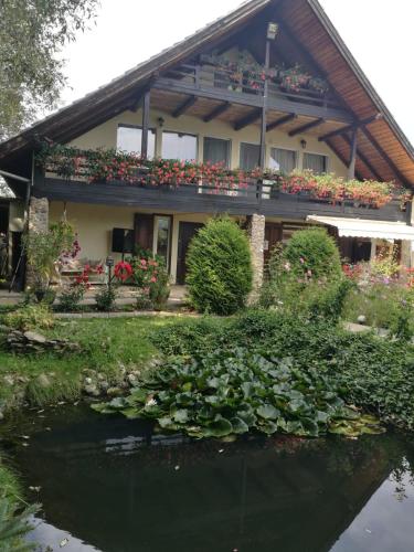 Фотография гостевого дома Casa Csiki