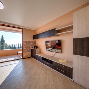 Фотография квартиры Апартаменты Фамилия Элит 5