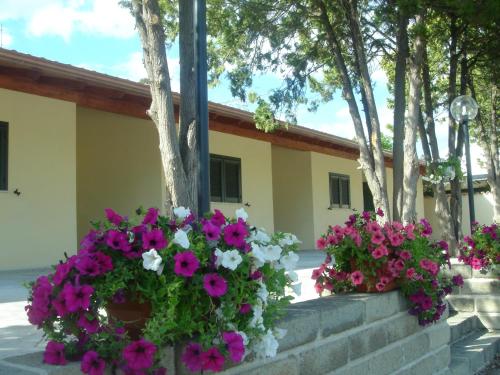 Фотография гостиницы Hotel Samarcanda