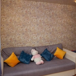 Фотография квартиры Апартаменты на улице Наседкина