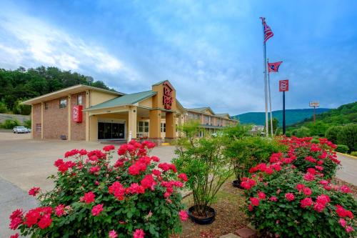 Фотография мини отеля Red Roof Inn Chattanooga - Lookout Mountain