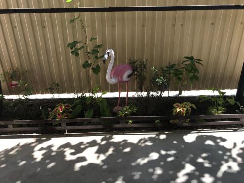 Фотографии гостевого дома
Трудящихся, 131