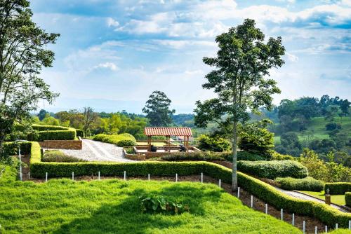 Фотография гостиницы Hotel Estrella Del Monte