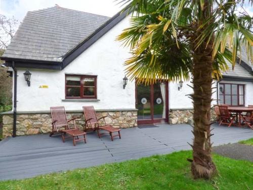 Фотографии гостевого дома
Snowdrop, Wadebridge