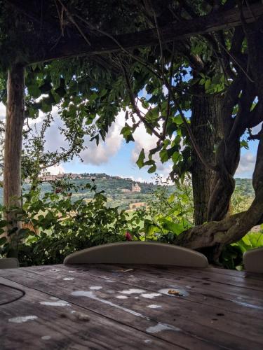 Фотография мини отеля CUGUSI BnB