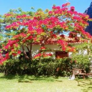 Фотографии гостевого дома 
            Faja dos Padres