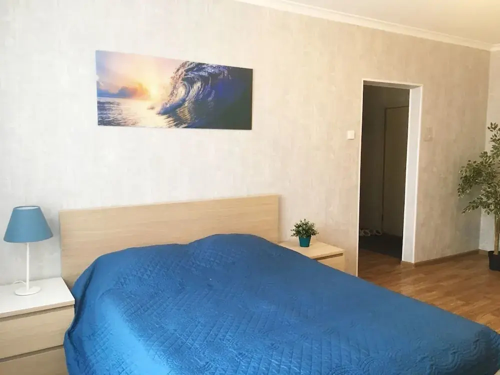 Фотография квартиры Apartment Hanaka on Bibliotechnaya 17