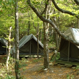 Фотография базы отдыха Черномория