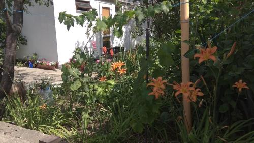 Фотография гостевого дома Новороссийская, 47