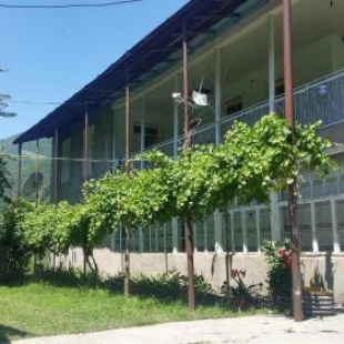 Фотография мини отеля Golden Mountain House