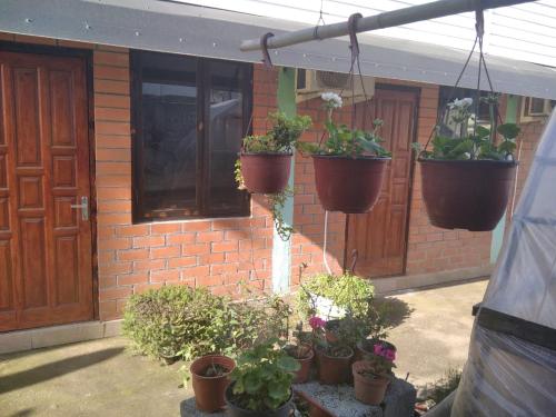 Фотография гостевого дома Эбраэли