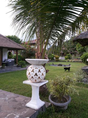 Фотография базы отдыха Abalone Resort