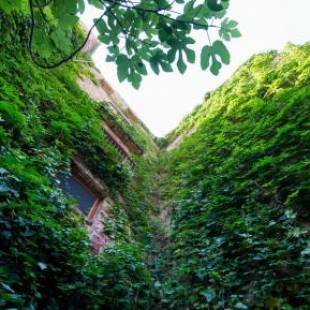 Фотографии гостевого дома
El Jardín Vertical