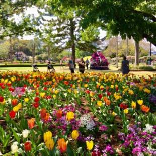 Фотографии гостиницы
Oaks Toowoomba Hotel