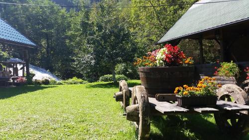 Фотография гостевого дома Janjske otoke - smještaj na selu (Milorad Piljić)