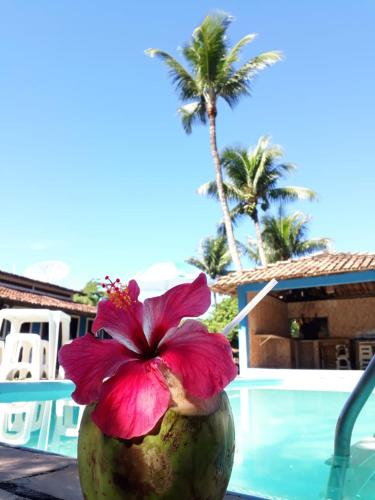 Фотографии мини отеля
Céu Azul Pousada