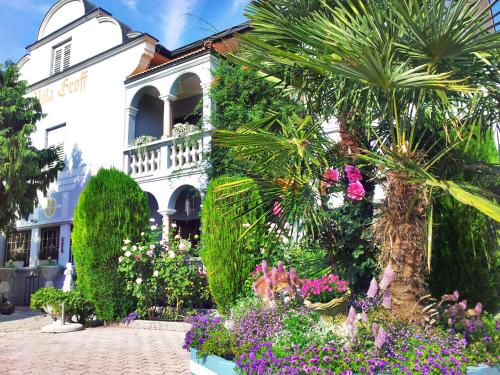 Фотография гостиницы Hotel Villa Groff