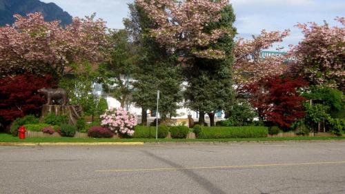 Фотография мотеля Slumber Lodge