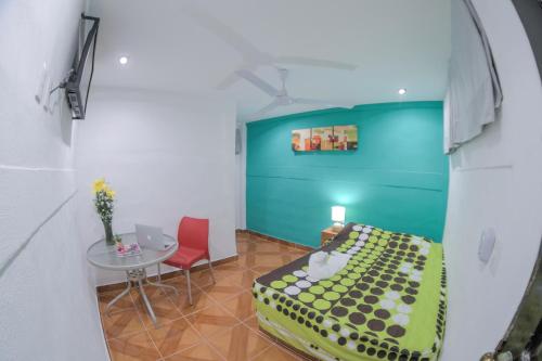 Фотография гостиницы Hotel San Carlos