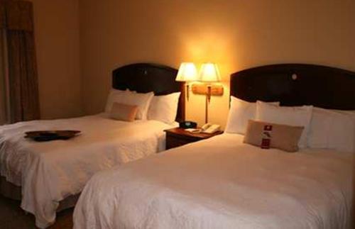 Фотография гостиницы Hampton Inn - Springfield