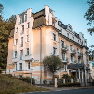 Фотография гостиницы Spa & Wellness Hotel Silva