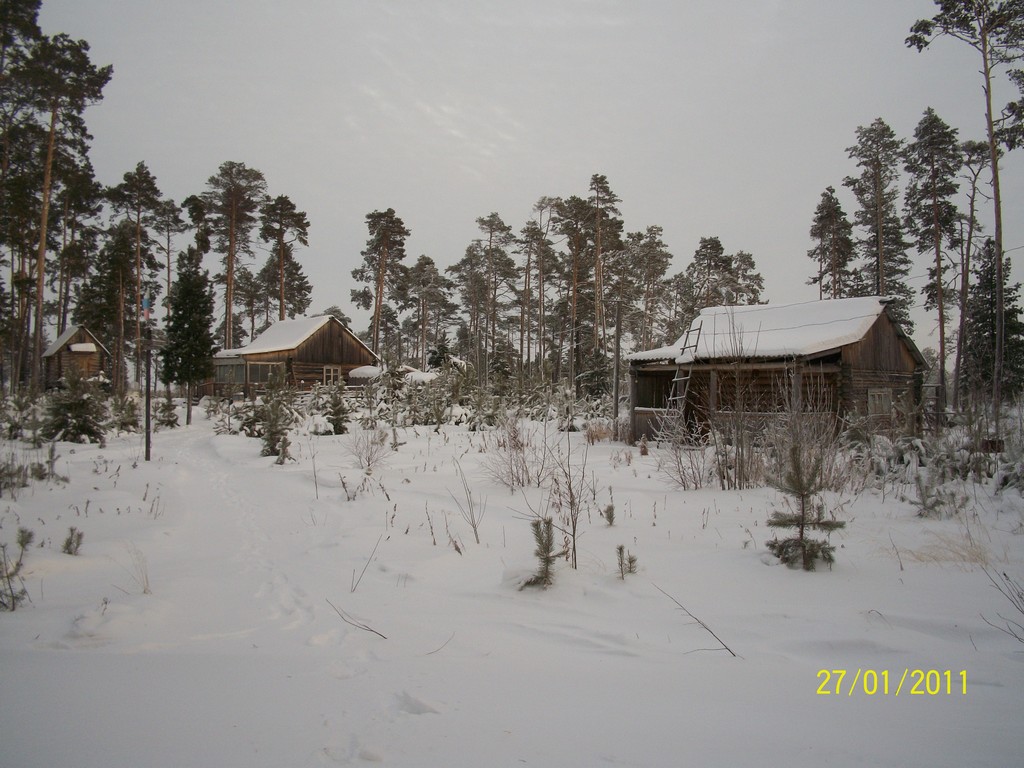 Фотография базы отдыха В гостях у Лешего