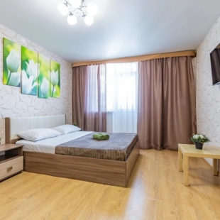 Фотография квартиры Апартаменты Кольцово Ракетная 20 1