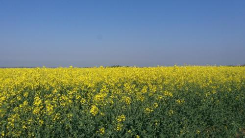 Фотография мини отеля Grooms Cottage