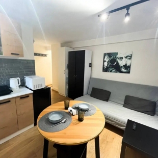 Фотография квартиры Apartment Уютная Студия в Зеленой Зоне