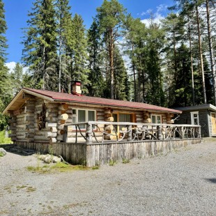 Фотография Коттеджа Коттеджи Карелия Медвежка Стандарт с Видом во Внутренний Двор