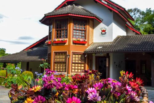 Фотография мини отеля Pousada Viking Penedo