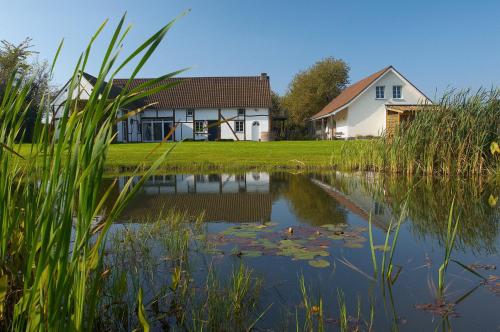 Фотография мини отеля Abeljano