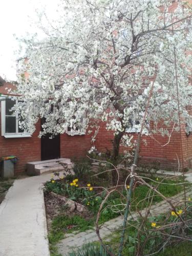 Фотография гостевого дома Гостевой дом Ассорти