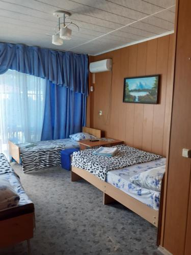 Фотографии хостела
Ольгинка