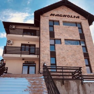 Фотография гостевого дома Pensiunea Magnolia