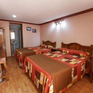 Фотография гостиницы Hotel San Angel