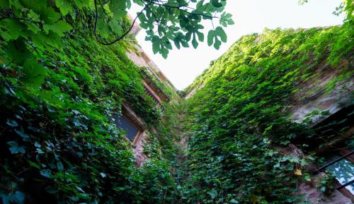 Фотография гостевого дома El Jardín Vertical