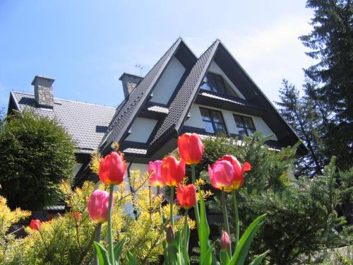 Фотография мини отеля Apartamenty Malinka